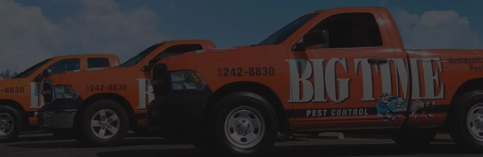 Pest Control Exterminator in Red Bluff, CA